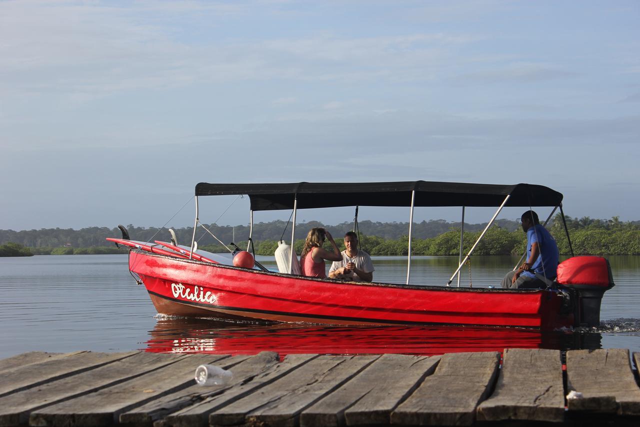 Red Frog Bungalows Surf Resort Bastimentos Kültér fotó