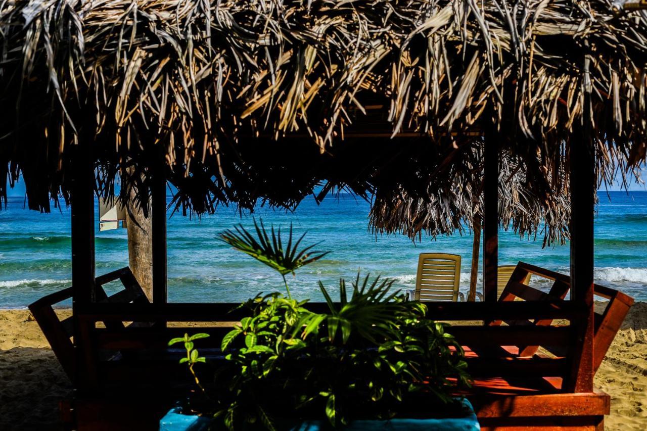 Red Frog Bungalows Surf Resort Bastimentos Kültér fotó